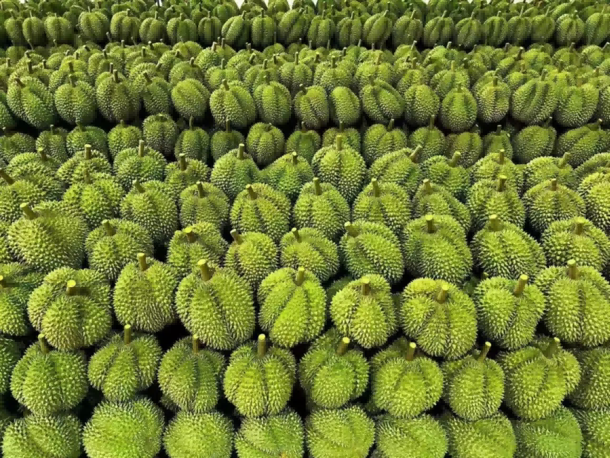 ҳ| йٷվ